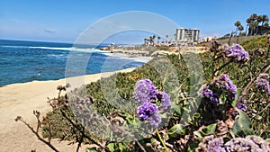 Sunny day at La Jolla San Diego California USA