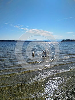 a sunny day at lake starnberg