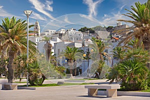 Sunny day in Mattinata, Puglia, Italy. Palm trees and white buildings in bright sunny day