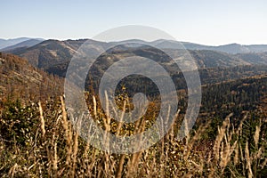 Sunny day in the mountains landscape. Autumn scenery