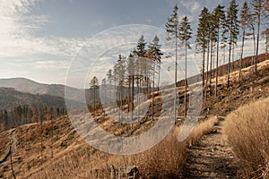 Sunny day in the mountains landscape. Autumn scenery