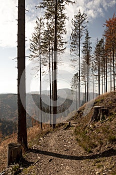 Sunny day in the mountains landscape. Autumn scenery