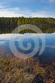 Sunny day in national park