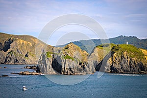 Sunny day with Nature background. Small island in New Zealand. Hills and mountains in summer.