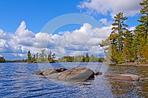 A Sunny Day in the North Woods