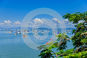 Sunny day on ocean with sailboats in Floripa, Brazil