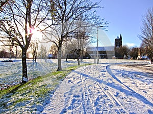 Sunny day in the park