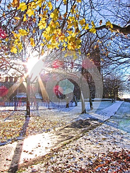 Sunny day in the park