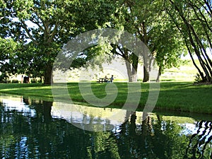 Sunny Day Picnic