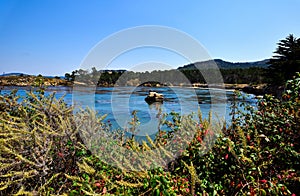 Sunny Day at Point Lobos State Reserve - California, USA