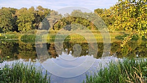 Sunny day on the quiet river