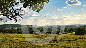 A sunny day in the Saarland with a view over meadows into the valley. Tree in foreground