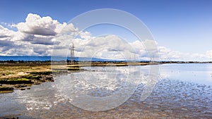 Sunny day on the shoreline of San Francisco Bay; white cumulus clouds reflected on the shallow marsh waters; Palo Alto, California