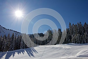 A sunny Day for Skiing