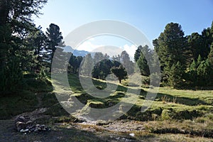 Sunny day in Swiss mountain valley with creek