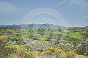 Sunny day in Tuscany countryside