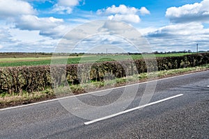 Sunny Day View of Empty UK Country Road