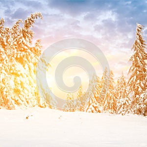 Sunny day in winter mountains