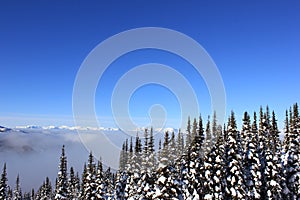 Sunny day in a winterwonderland in beautiful whistler in canada, british columbia