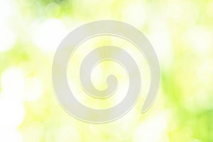 Sunny defocused color nature background, abstract bokeh effect es element for your design