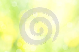 Sunny defocused green nature background, abstract bokeh effect es element for your design