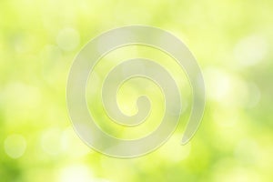 Sunny defocused green nature background, abstract bokeh effect es element for your design