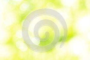 Sunny defocused green nature background, abstract bokeh effect es element for your design