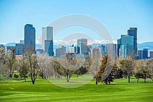 Sunny Denver Skyline