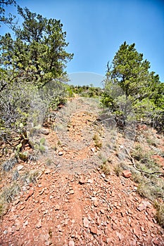 Sunny Desert Hiking Trail with Cacti in Sedona, Arizona