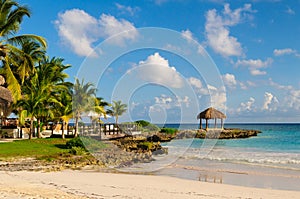 Sunny Dream beach with palm tree over the sand. Tropical Paradise. Dominican Republic, Seychelles, Caribbean, Mauritius. Vintage