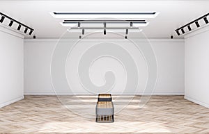 Sunny empty exhibition hall with classic interior design: blank white walls and ceiling, black spotlights on top and modern