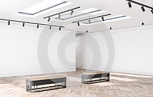 Sunny empty light shades art gallery with blank white walls with copyspace for your logo, windows and black spotlights in the