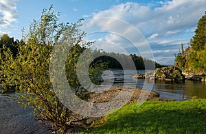 Sunny evening on the Biya river