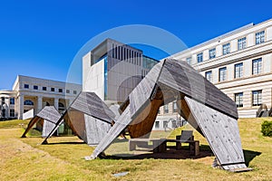 Sunny exterior view of the campus of University of Arkansas