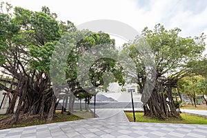 Sunny exterior view of the park of Tainan Art Museum Building 2