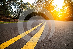 Sunny forest asphalt road curve with marking lines at sunset time.