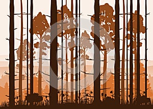 Sunny forest background. Vector illustration of woods in forest in sunlight background. Isolated