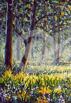 Sunny forest wood trees Original oil painting. Flowers in sun summer spring park