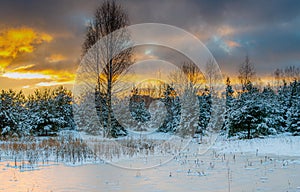 Sunny frosty snowy winter landscape sunset near lake