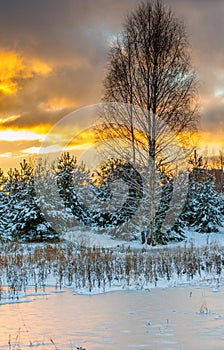 Sunny frosty snowy winter landscape sunset near lake