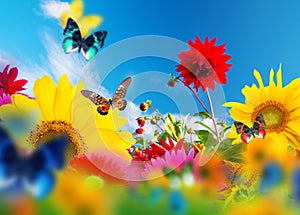 Sunny garden of flowers and butterflies