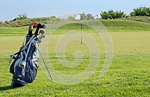 Sunny Golf Scene