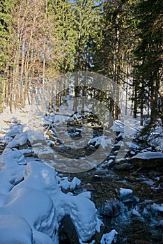 Sunny Great Mumlav river in winter 2021