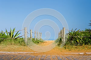 Sunny and green path to beach