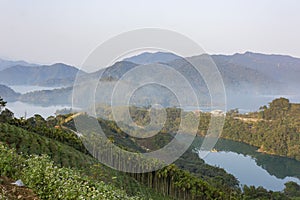 Sunny high angle view of the Feicui Reservoir and tea farm