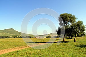 Sunny hills, forests and grasslands