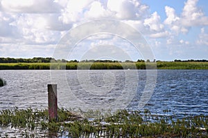 Sunny lake in the Norfolk Broads UK: reedbeds and a marking post