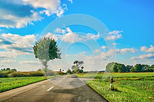 Sunny landscape with blue sky and clouds in Germany, through which a tree-lined country road leads