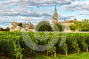 Sunny landscape of bordeaux vineyards in Saint Emilion in Aquitaine region, France