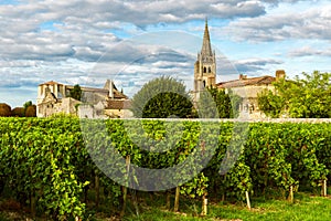 Sunny landscape of bordeaux vineyards in Saint Emilion in Aquitaine region, France photo